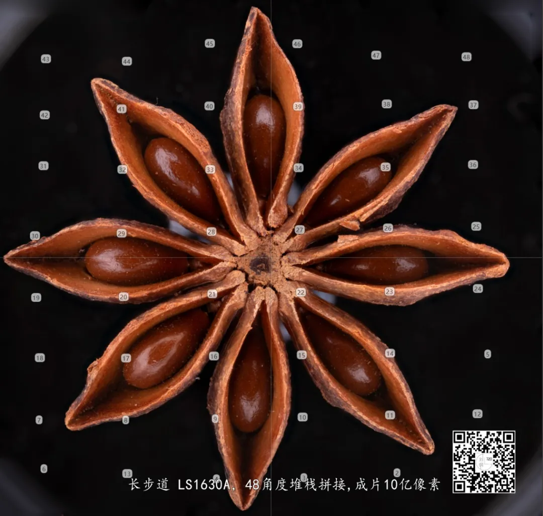 1763948476149.jpg 1763948476149.jpg