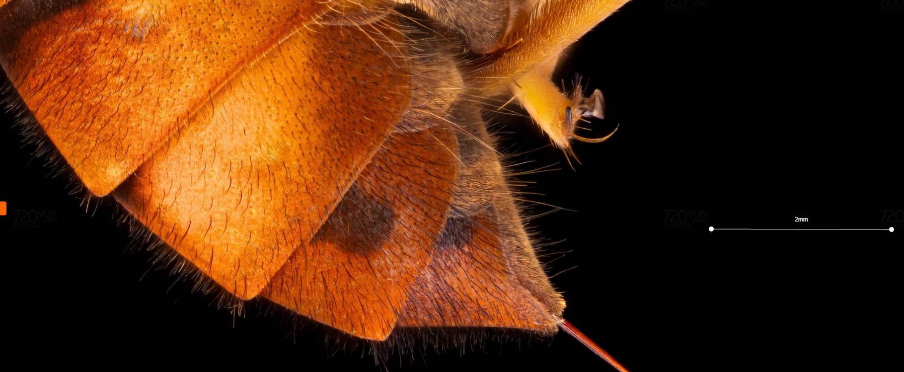 图片2.png 图片2.png